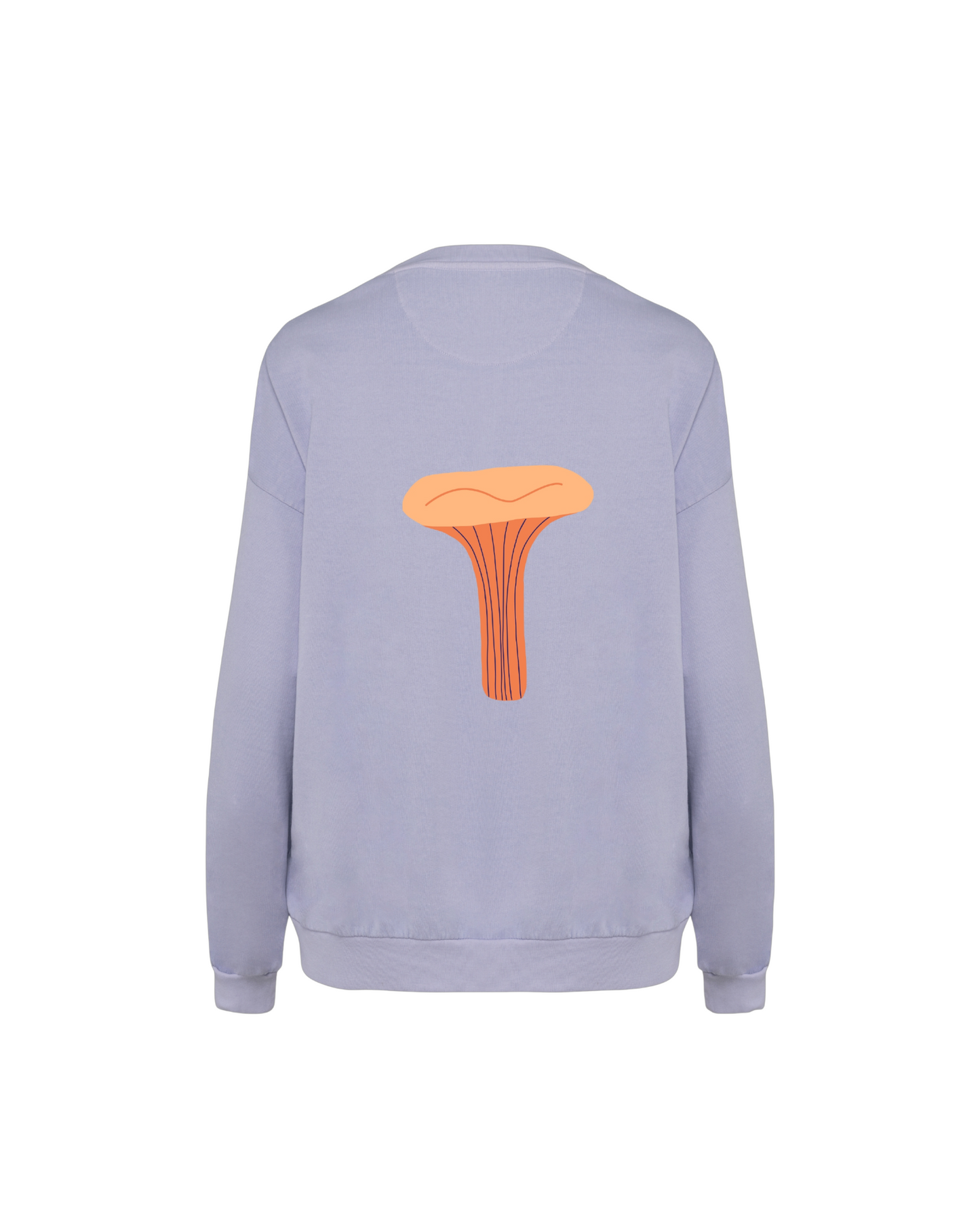 Sweatshirt "cosmicYou" Washed Parma